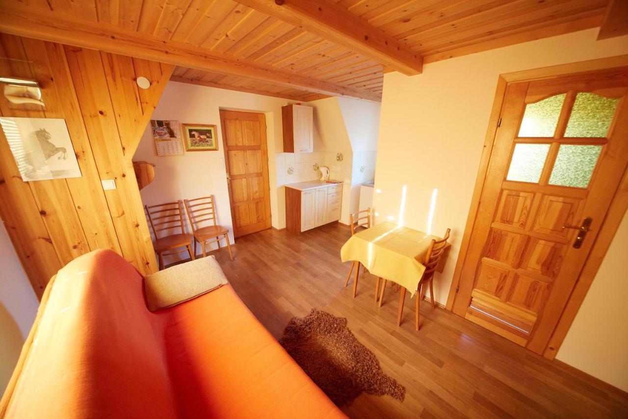 Siklawa Leilighet Zakopane Rom bilde